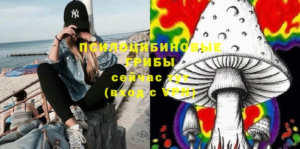 амф Абинск