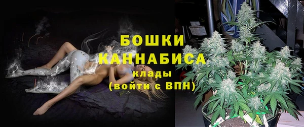 дживик Абаза