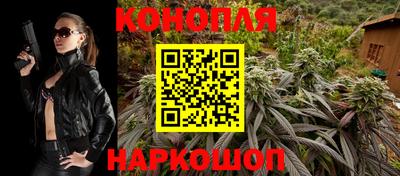 стафф Шебекино