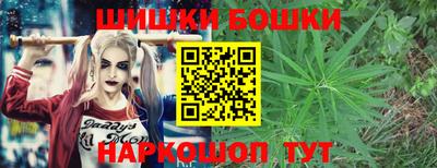 стафф Шебекино