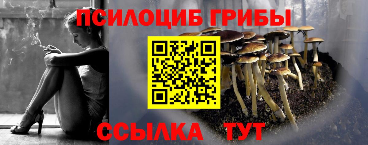Дятьково  где купить наркоту  Вход с VPN  Псилоцибиновые грибы MAGIC MUSHROOMS 