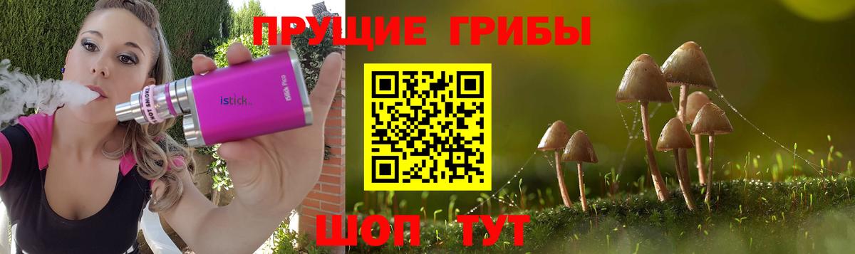 Псилоцибиновые грибы Psilocybine cubensis Дятьково